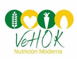 Logo de Vehok